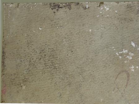 Detalle deterioros Desnudo femenino sin título