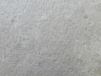 Detalle resultados Desnudo femenino sin título